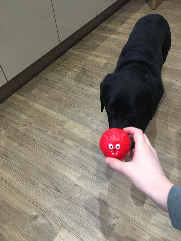 Supporting #comicrelief2019