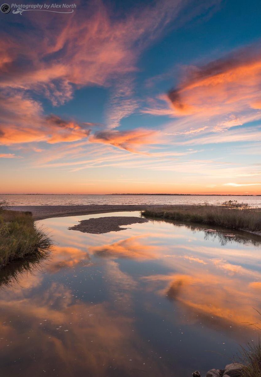 JulieFreed's tweet photo. Wishes for a day of inspiration and creativity in whatever path you choose. Art by our own @AlexNorth8 #gulfcoast #amwriting #photography https://t.co/puYB1TerxD