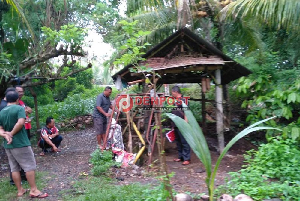 Sapi Bunting Dicuri, Kerugian Rp 20 Juta - denpostnews.com/2019/03/15/sap…