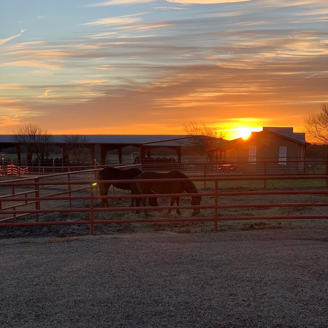 BryanJarrett's tweet photo. After almost two weeks in Asia this sunrise over Lonesome Dove Ranch is more beautiful than ever. Thank you Lord for this place and what it means to so many. It’s good to be home. #wherehealinghappens #texassunrise https://t.co/2ISLJYk6S1