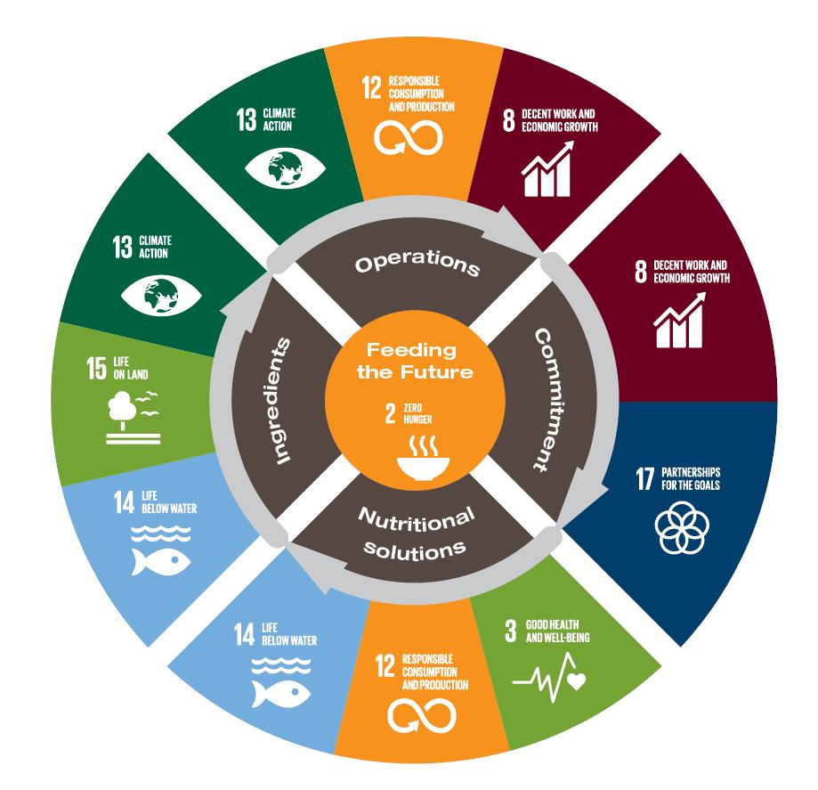 SkrettingNA's tweet photo. #Nuterra is our #sustainability program that is aligned with the #UnitedNations Sustainable Development #GlobalGoals. See what goals align with our 4 focus areas of Nuterra. 🐟🌎💚 

https://t.co/leZODh7Sd1
@globalgoalsUN #skrettingnorthamerica #feedingthefuture #SDGs https://t.co/u3mtYuMAXj