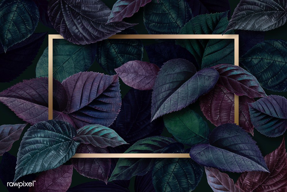 byrawpixel's tweet photo. New in! Spring never looks so luscious. https://t.co/G5zDUda7as