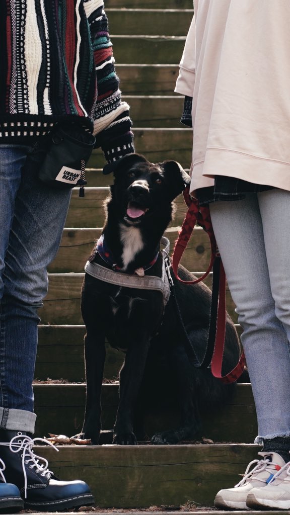 마지막 장소에서 사진 찍었을 때의 포카 표정 ㅋㅋㅋㅋㅋㅋ 정말 해맑다. 진짜 즐거웠나 봄 :-) 우리만 좋은 게 아니었다니 다행이야 —