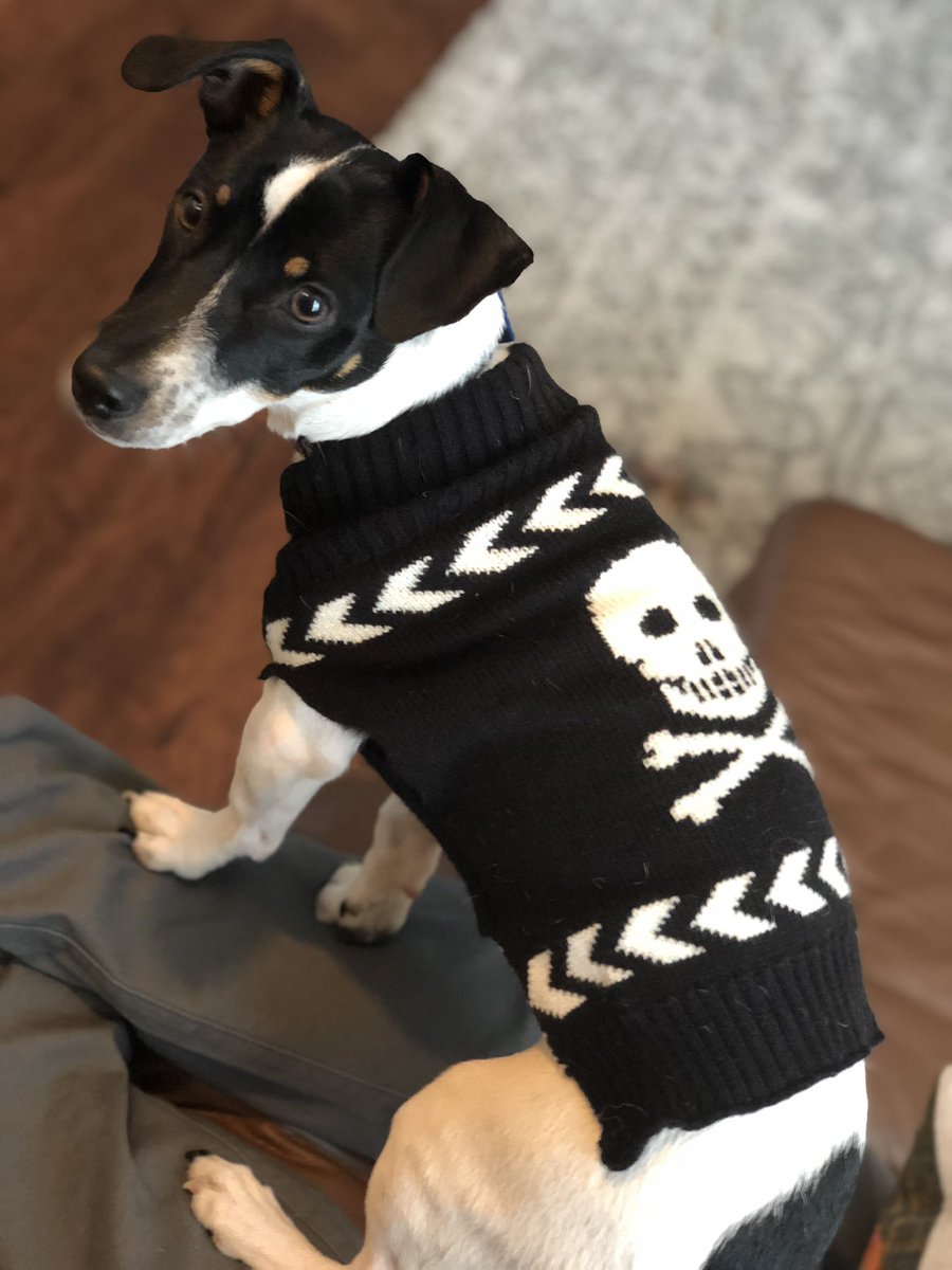 Colin Michael Ash tweet media