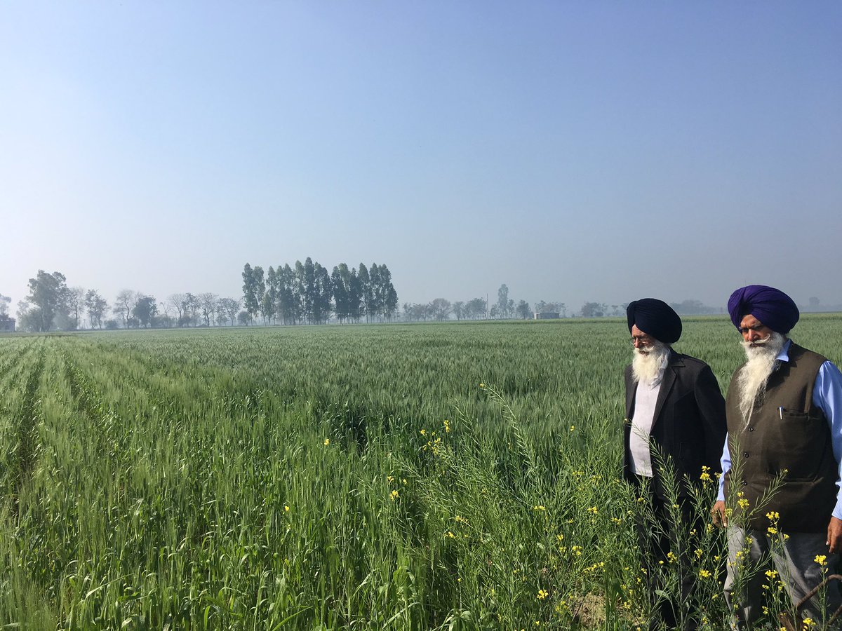 MScGFSN's tweet photo. We spent the morning with farmers who work with the Nahba Foundation to reduce pesticide use. They were a great group of passionate farmers with a lot of wose words about sustainable farming. https://t.co/vlJ8BZOzcI