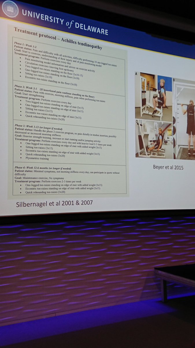 HegeGrindem's tweet photo. @kgSilbernagel brilliant as usual on all things tendon @jospt original studies and clinical commentaries dominating #optimalload seminar #nimi https://t.co/gXKGTUqXbF