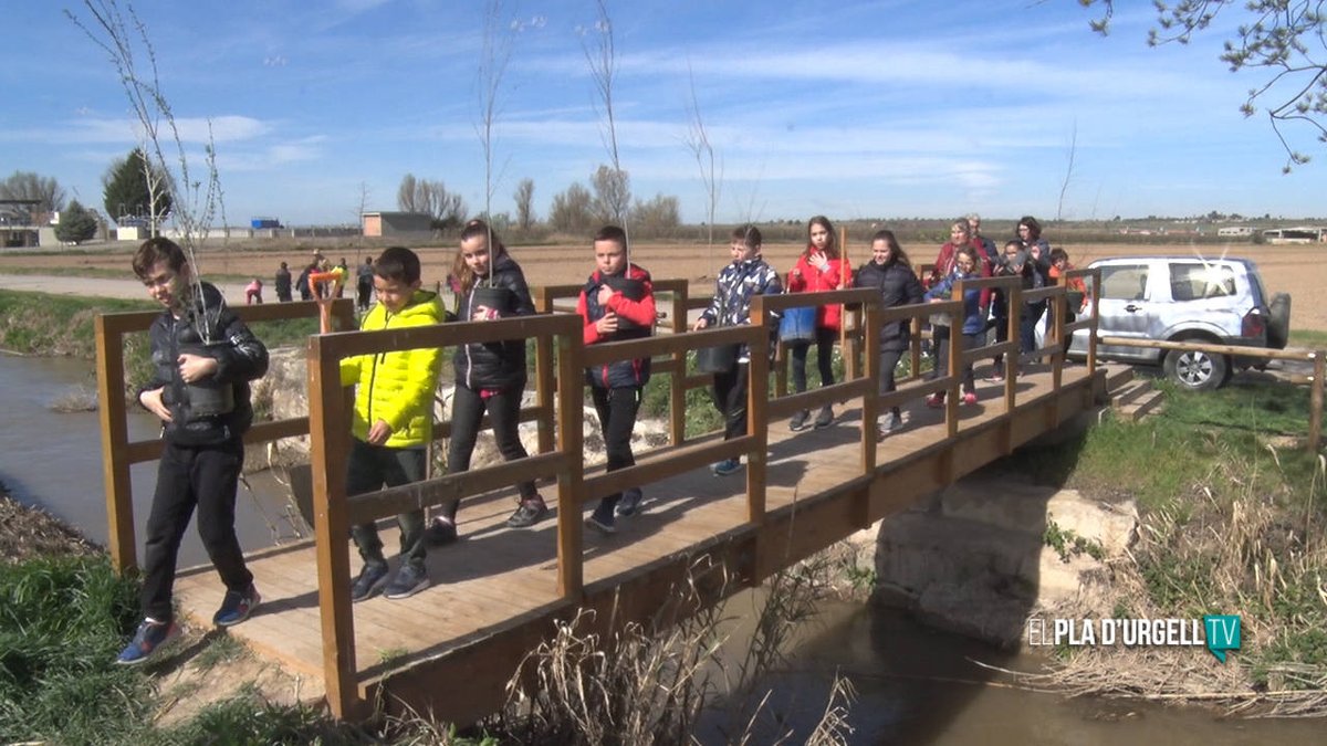 VÍDEO: L'<a href="/AjLinyola/">Ajuntament Linyola</a> inicia els treballs de millora la sèquia sud i el seu entorn, projecte que compta amb la col·laboració dels alumnes de l'escola <a href="/elsitjar/">Escola El Sitjar</a> plaurgelltv.cat/ca/turisme/pla…