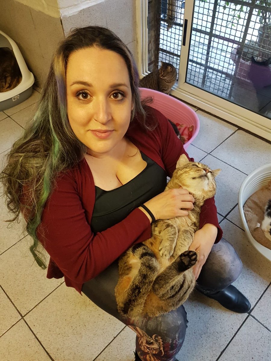 This is a 3 legged cat in a special shelter for cats in Rome.
gattidiroma.net/web/en/ 
They are all so sweet and need your help.