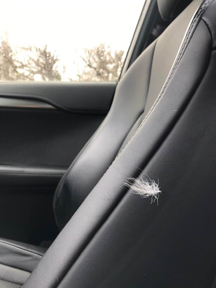 Bevmedium's tweet image. Noticed this feather from nowhere on my car seat this morning. 
Angels are around 👼💜👼