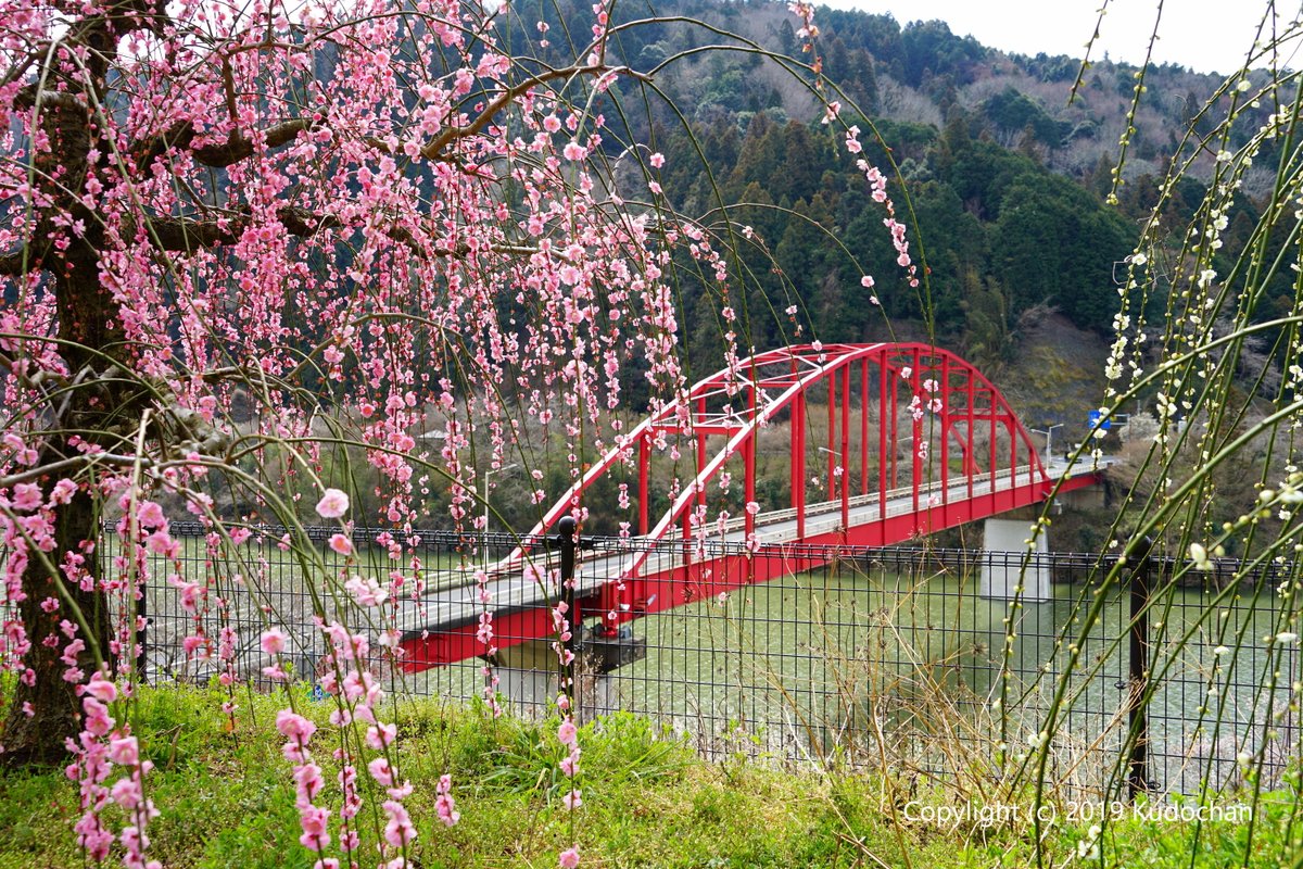 月ヶ瀬梅渓 月ヶ瀬梅渓