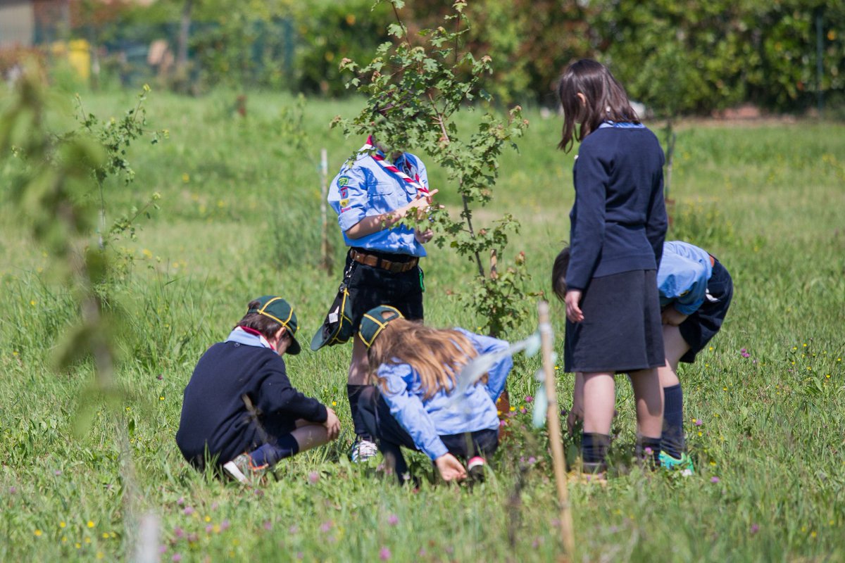 Amano e rispettano la natura. Gli scout <a href="/agesci/">AGESCI</a> sempre pronti per difendere il Creato, la casa comune di tutti noi! 🌍#seiscout #FridaysForFuture #Climatestrike