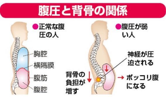 腹腔 内圧