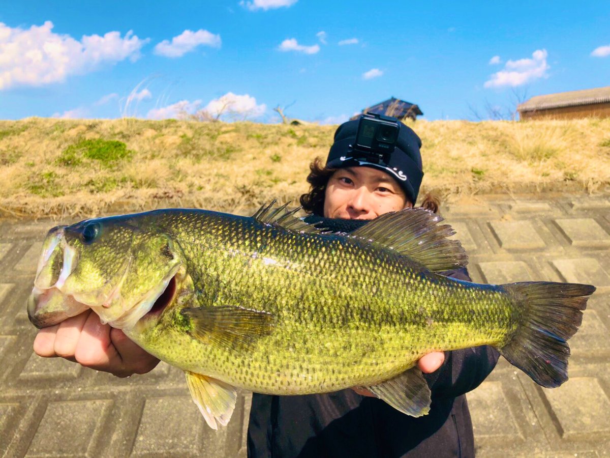 ゼハハハ ゼハハハ