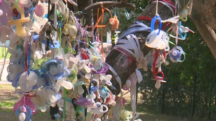 עצים ומוצצים: הדרך האקולוגית לסייע לפעוטות להיפרד מהמוצץ >> bit.ly/2F1Hkub