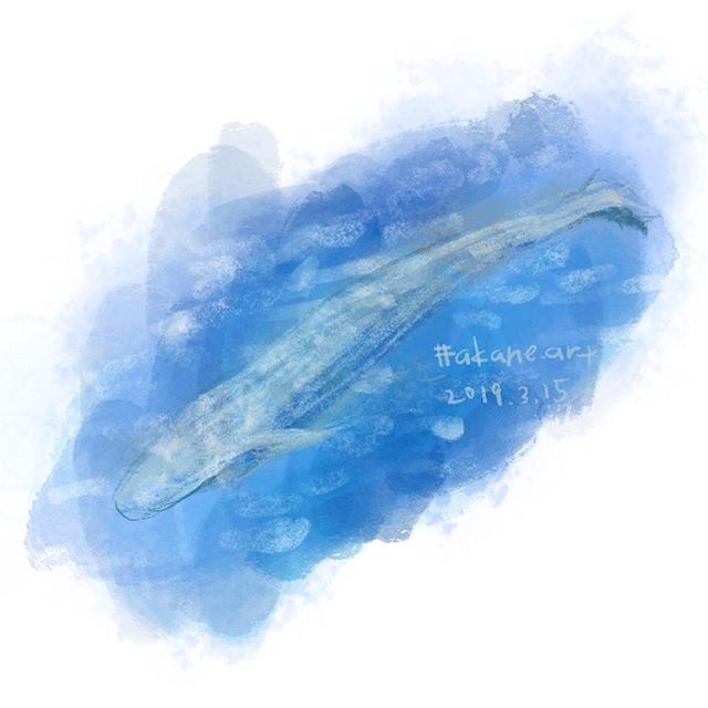 シロナガスクジラ Twitter Search