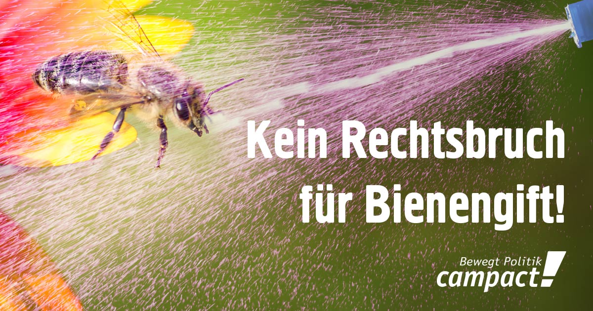 campact's tweet photo. Agrarministerin @JuliaKloeckner lässt 18 neue Ackergifte zu – ohne die Zustimmung des Umweltbundesamtes. Das ist ganz klar ein Rechtsbruch!
Unterzeichne jetzt den Appell, damit nicht noch mehr #Bienenkiller zugelassen werden: https://t.co/nmGEMZTCe0 #Glyphosat https://t.co/ynQVHXUkfX
