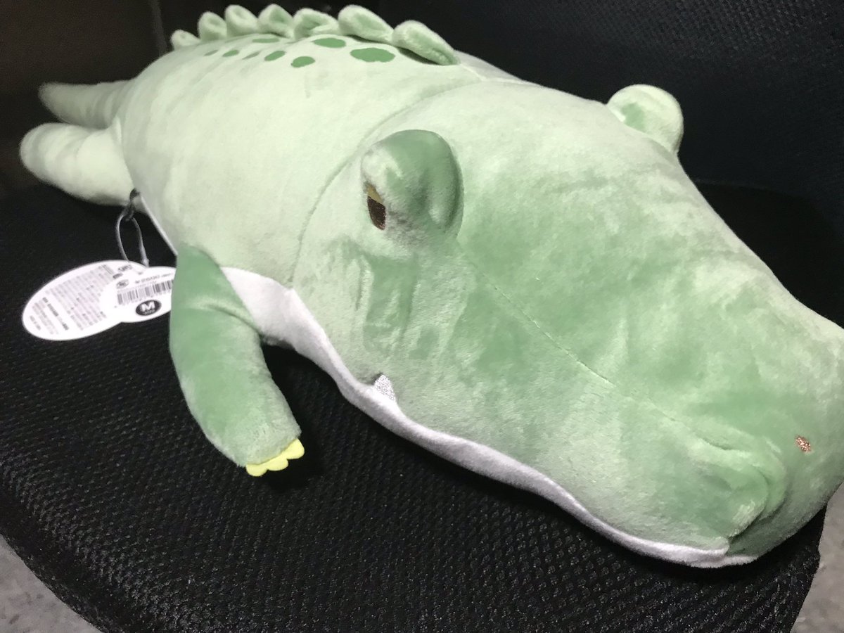 やるを V Twitter ニフレルで売ってたワニのぬいぐるみが余りにも可愛かったせいで買ってしまった
