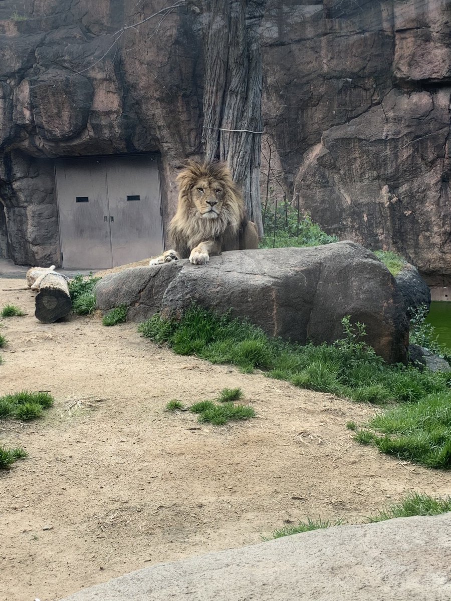 樹くんに会ってきた🦁