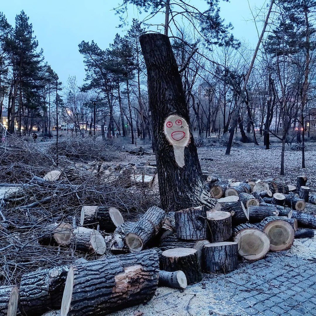 вырубка деревьев в городе