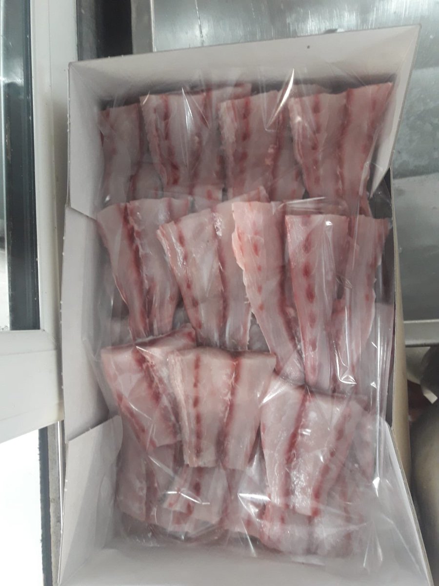 Channel Bass tails for fish Friday?
What do you think? #FishFriday #fryyay #fish #dailyfish