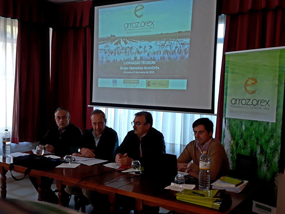 CooperativasExt's tweet photo. Director #agricultura @Junta_Agricultu destaca que #GrupoOperativo #ArrozOrEx obtuvo segunda mayor valoración en convocatoria de #innovación, lo que muestra la #calidad e #importancia del proyecto liderado por @CooperativasExt https://t.co/IFAmitOrDK