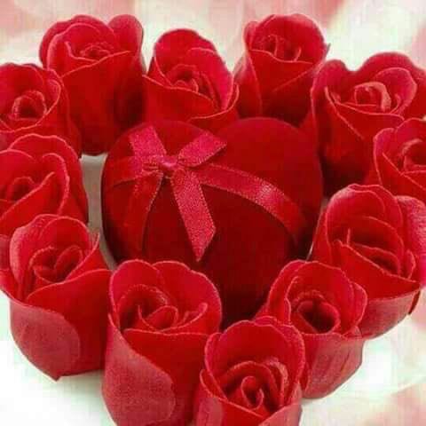 أنيق الحرف tweet media