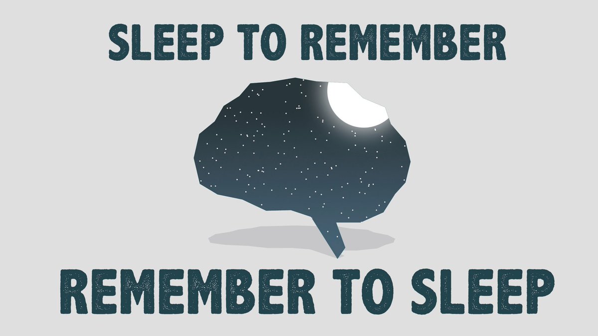 EventsAplus's tweet photo. On World #SleepDay, let's be aware of the benefits of good &amp; proper sleep. Let not our busy lives invade our time for sleep.
👉#WSD2019 theme: "Healthy Sleep, Healthy Aging".
#WorldSleepDay #TheStressSolution #AplusZeitgeistEvenyt #AplusVision #AplusZeitgeist #Eventprofs https://t.co/SBwvCQRn7c