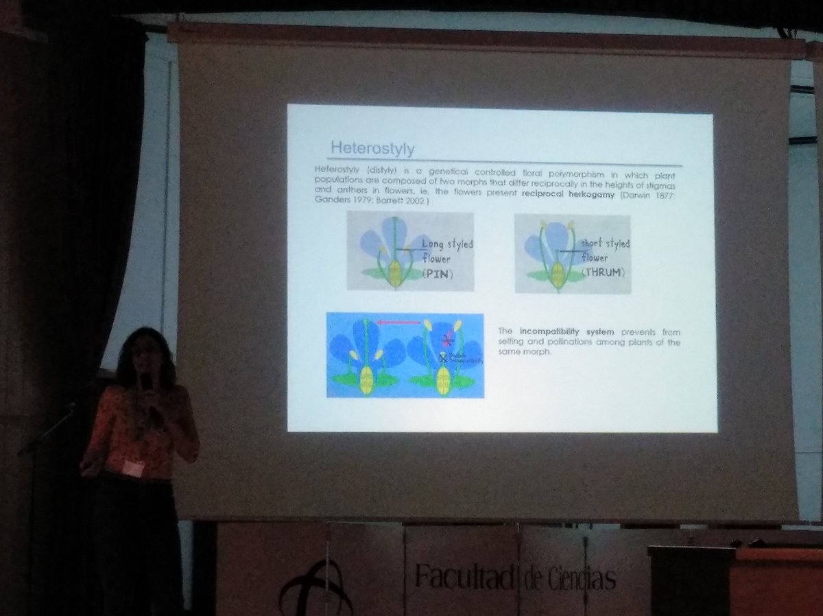 Mohamed Abdelaziz (Moha) tweet media