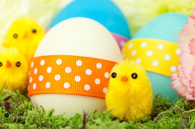 Commwire (@commwireltd) on Twitter photo We are collecting Easter Eggs for Kilbryde Hospice. If you want to donate they can be dropped off at our office address, Nasmyth Building, Scottish Technology Park, East Kilbride, G75 0QR <a href="/KilbrydeHospice/">Kilbryde Hospice</a> We are collecting Easter Eggs for Kilbryde Hospice. If you want to donate they can be dropped off at our office address, Nasmyth Building, Scottish Technology Park, East Kilbride, G75 0QR <a href="/KilbrydeHospice/">Kilbryde Hospice</a>