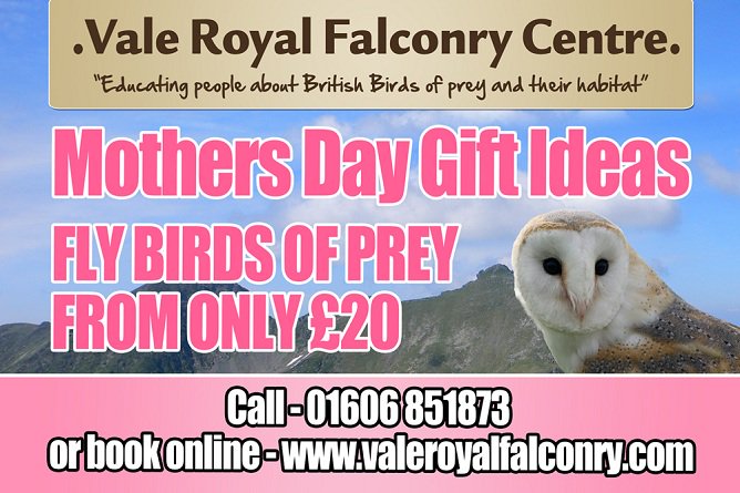 How about treating your mum or family to a special gift experience this coming mothers day? We have some lovely options for a unique day out so that you can spend some quality time together. #owls #mothersdaygifts valeroyalfalconry.com/mothers-day-gi…