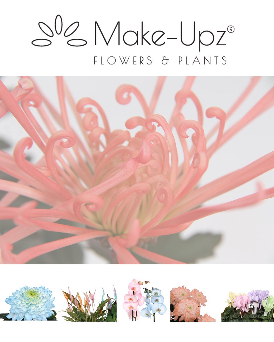 Make-upz® (@makeupz_tweets) on Twitter photo 