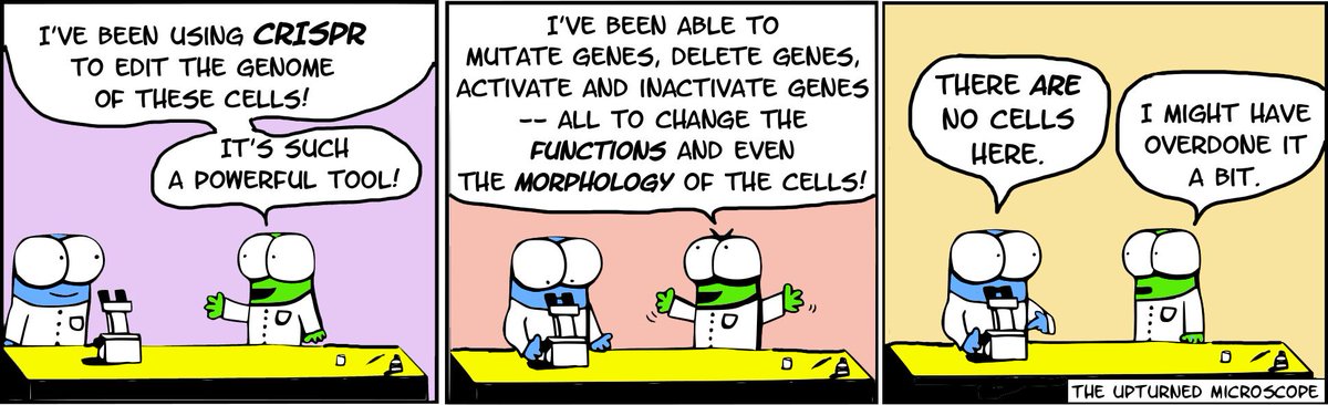 MacAdemics_Ed's tweet photo. #CRISPR is such a useful and elegant gene-editing tool that has really accelerated many areas of research, but with the 'CRISPR babies' do we need more control in research? (Inspired by today's hilarious comic by @upmicblog) #GetScienced https://t.co/DX423GVzeZ