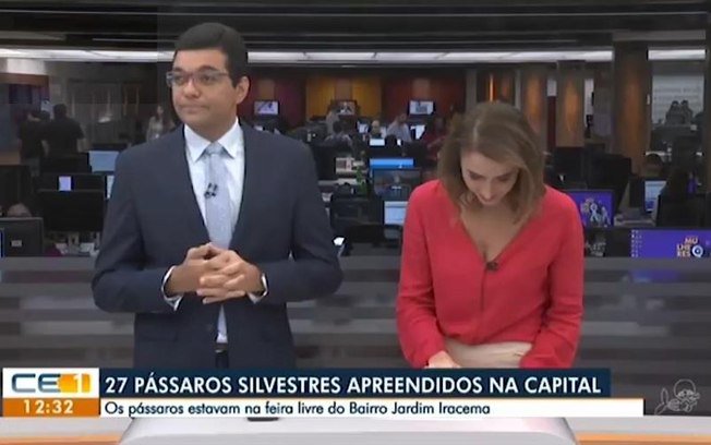 TopBuzzBrasil's tweet photo. Jornalistas cometem gafe ao vivo ao noticiar contrabando de periquitos @Metropoles https://t.co/v4tbGEezAQ https://t.co/eglFNg2fOb