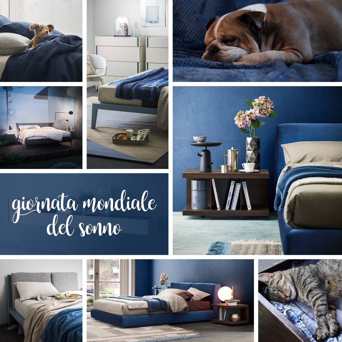 diotti_com's tweet photo. 😴Ingredienti per un sonno ristoratore: 
🌫 materasso: materiale e portanza adatti al tuo peso
🌫 cuscino: forma in base alla posizione in cui dormi 
🌫 lenzuola: preferisci materiali naturali (cotone, lino, lana) e colori soft
#WorldSleepDay #sonno #GiornataMondialeDelSonno https://t.co/XqiILvQXyC