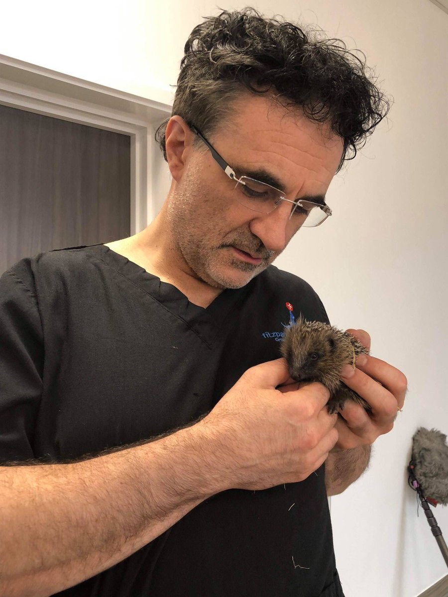 We have a responsibility to look out for all the animals - wherever we are and whatever we do... x