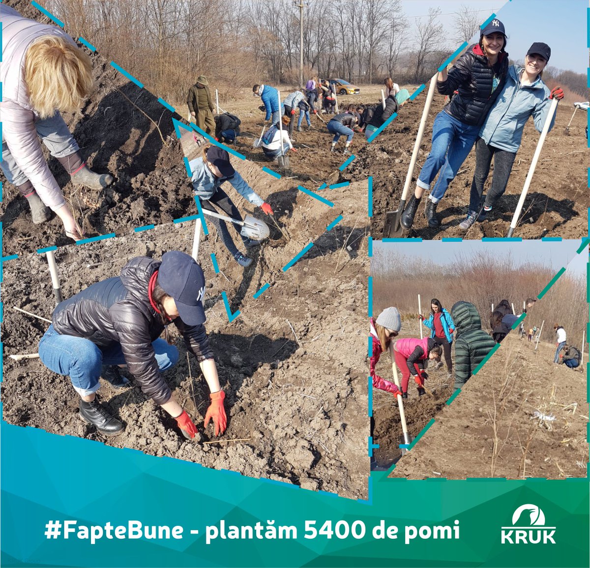 KrukRomania's tweet photo. Suntem la Unitatea de padure nr. 1 din Stefanesti, Cornetu si ne-am propus sa plantam 5400 de pomi! #faptebune https://t.co/L7aw4MhUhh