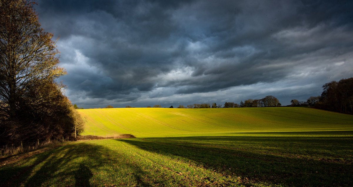 ruth_rem's tweet photo. Quite beautiful light in amongst all that wind !!! Right place at the right time to capture this slice of sunshine on a field in Sonning Common #springsun #sonningcommon #stormysky https://t.co/rFzaMrMjhT