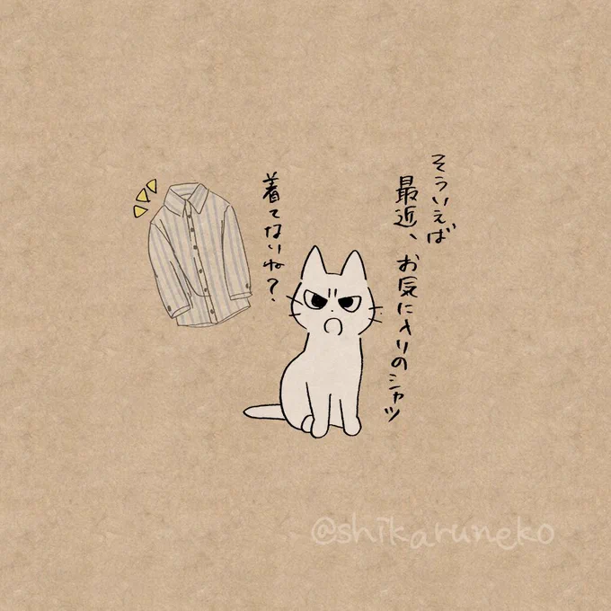 シワのついた服をしまい込む人 を叱ってくれる猫 