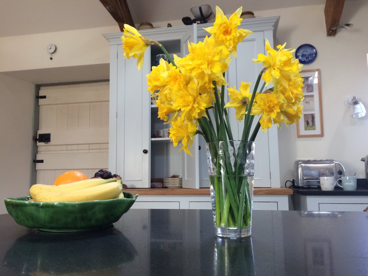 cragend's tweet image. #spring #daffodils #devol kitchen ⁦@cragend⁩