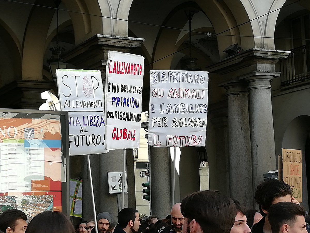 On #climatestrike day, let s not forget that livestocks are not only a matter of animal rights and dignity, but also massively contribute to GHG and climate change. We can't (unhealthily and unevenly) feed the present to the expenses of the future. #fridaysforfuture