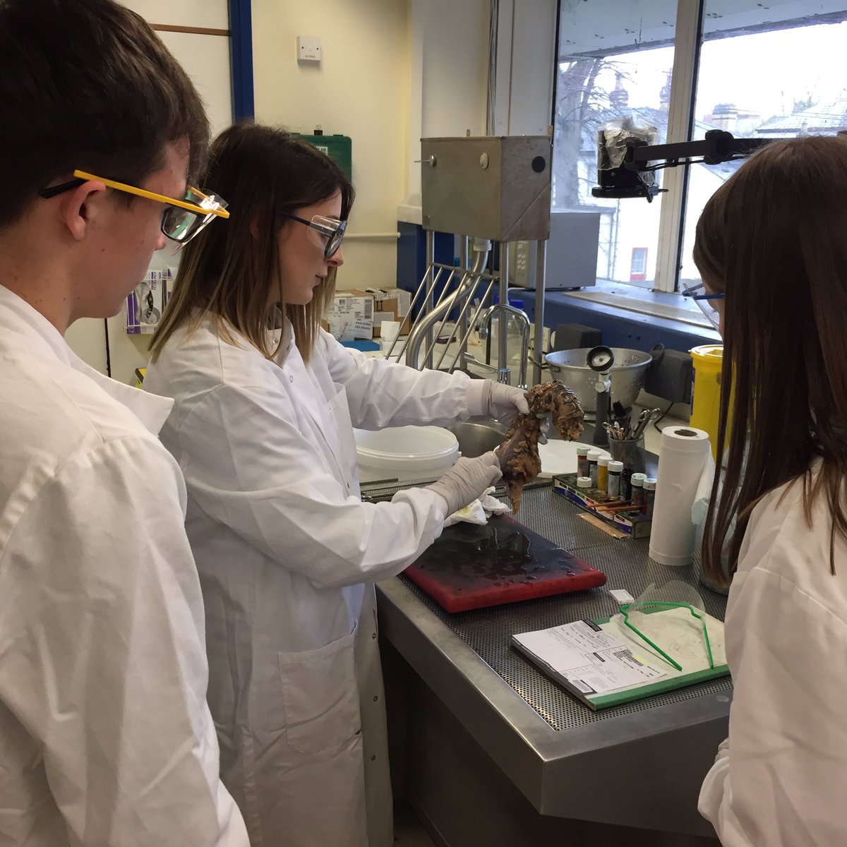 TonyDix14's tweet photo. Day 5 @gloshospitals #HCSWeek2019 in histopathology students are experiencing a cut-up session. This is as close to the action as you can get!! @WeHCScientists @RCPath @IBMScience @NSHCS @NHSEngland @NHSEnglandSW https://t.co/uD3kalcOr7