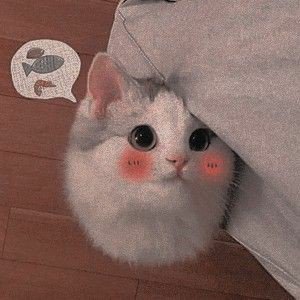 CAT🐱 tweet media