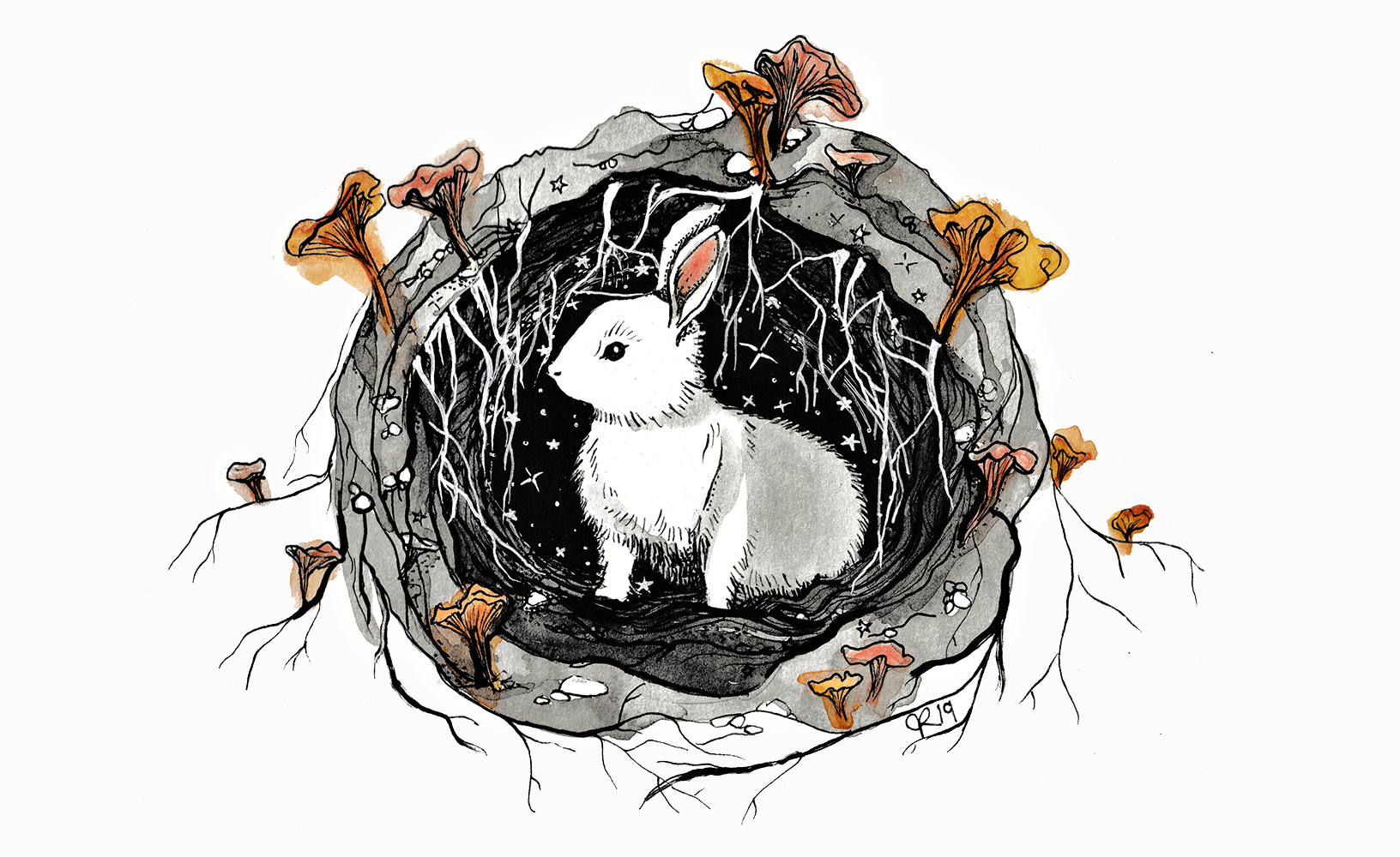 Сет метаморфозы White Rabbit