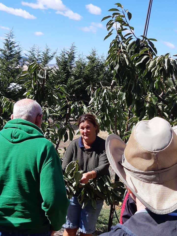 IFMAOnline's tweet photo. Field Trip 3 continued with Somercotes, settled in 1823 and still farmed by generations of the original family, transitioning from wool to cherries with an ever-growing orchard. Our thanks to Julie for an incredible tour and lunch! #ifma22 https://t.co/5yaOd0eQRn