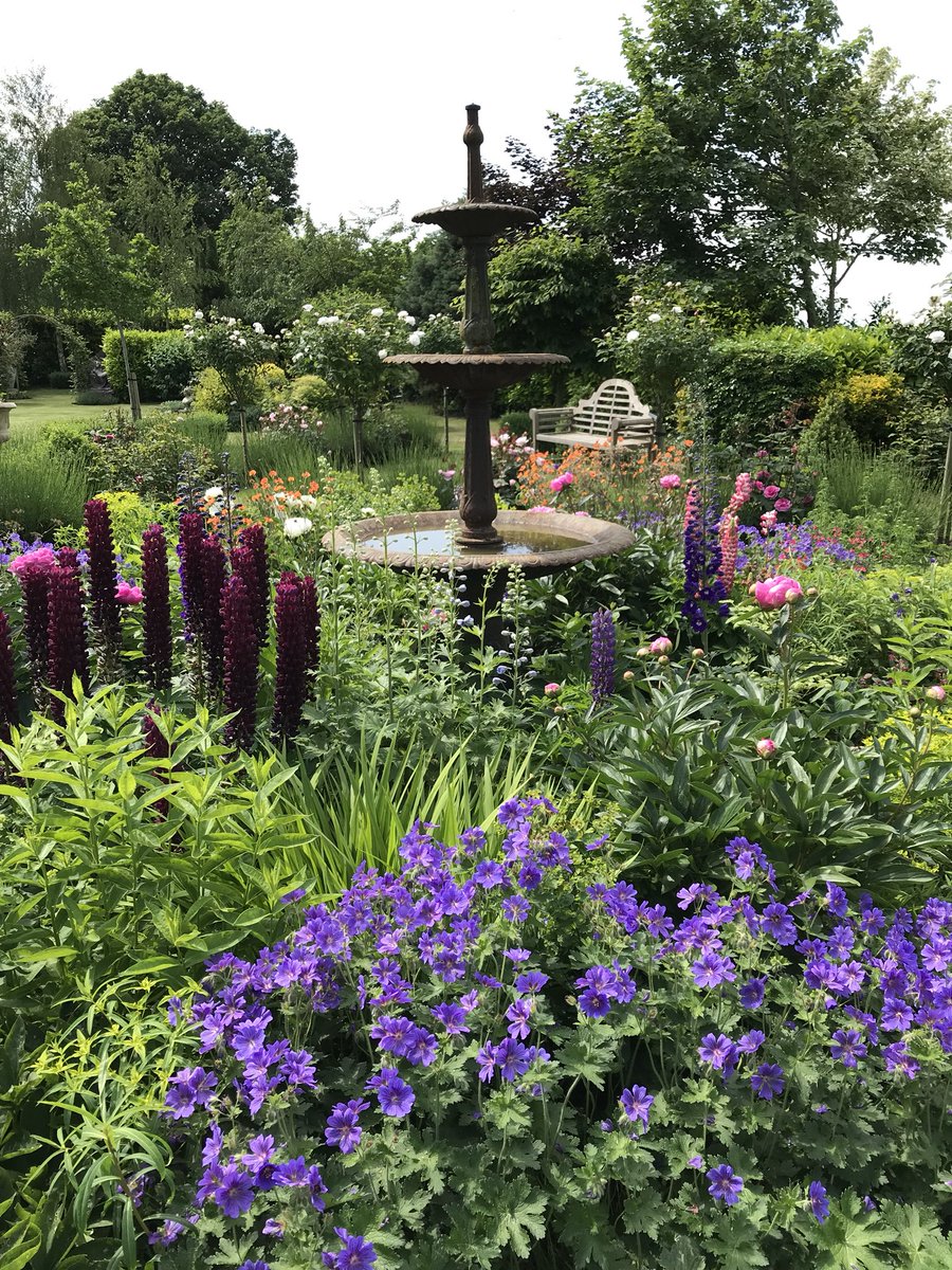 theFamilySK's tweet photo. In just a matter of weeks as if by magic, the #garden will begin its transformation! #superexcited #changingseasons #rosegarden #perenialbed #popsofcolour #davidaustin #roses #flowers #gardenblooms #gardendays #mygarden #outsideinterests #englishcountrygarden #countryhome #love https://t.co/dX8dbgsUmU