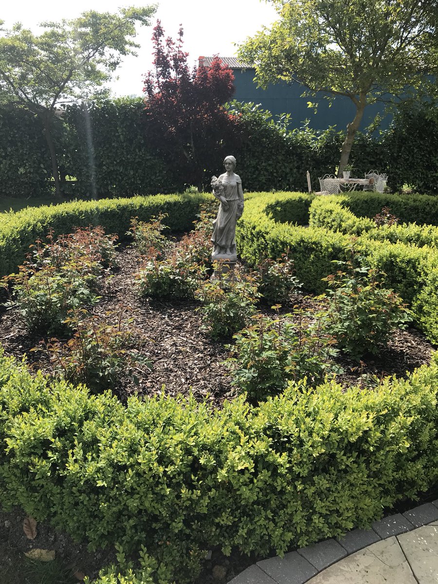 theFamilySK's tweet photo. In just a matter of weeks as if by magic, the #garden will begin its transformation! #superexcited #changingseasons #rosegarden #perenialbed #popsofcolour #davidaustin #roses #flowers #gardenblooms #gardendays #mygarden #outsideinterests #englishcountrygarden #countryhome #love https://t.co/dX8dbgsUmU