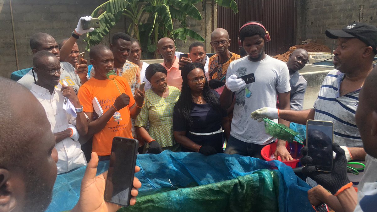 BawaGift's tweet photo. Day2 of the @WorldFishCenter @TAATAquaculture tilapia Monosex training 
practical sessions are ongoing in the #TilapiaOutgrowPonds as best management practices and techniques are being shared
@IITAYOUTHAGRIP @Taat_Africa @IITA_CGIAR https://t.co/S4JqXjlJ0m