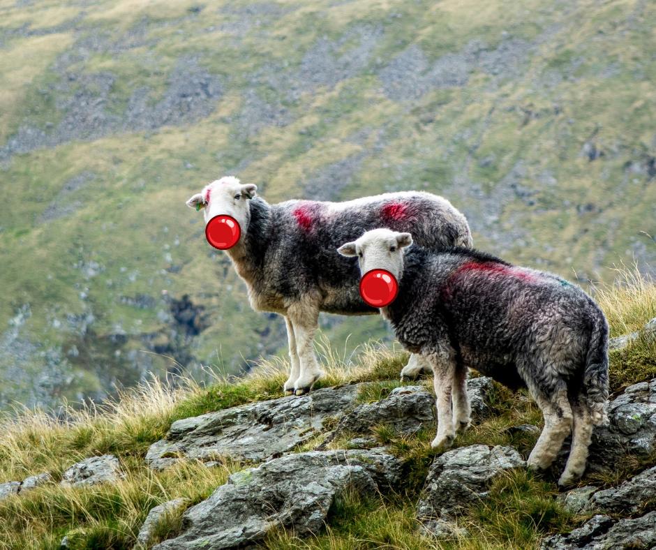 Lake District tweet media