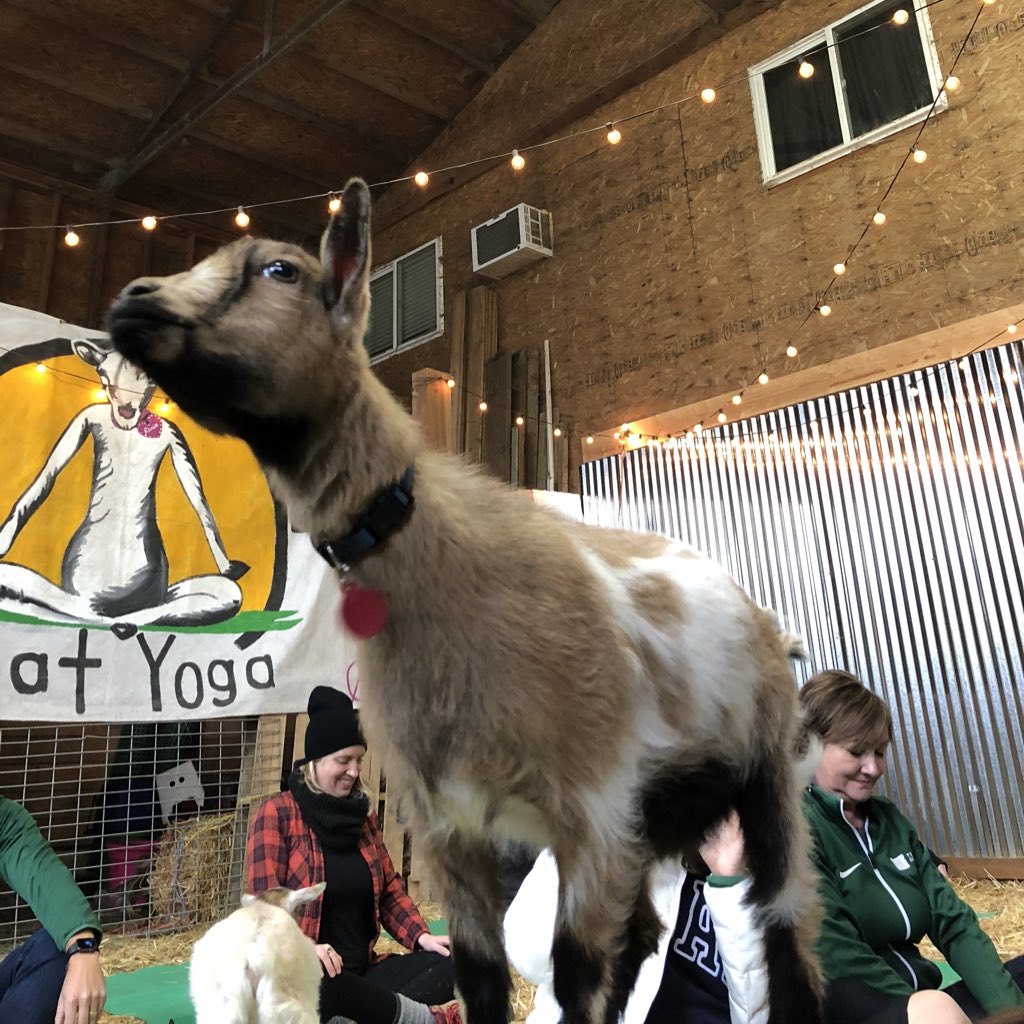 MichinoriOnda's tweet photo. 写真見返してたら、オレゴン行きたくなってきた...! 

#TravelOregon #OregonGreenParty #oregonismagic #アメリカ #オレゴン州 #tabippo https://t.co/hUfYVyhnys