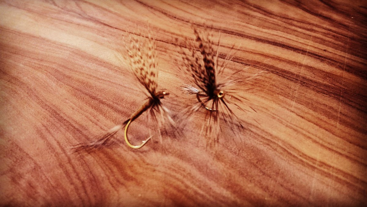 Stuggy23's tweet photo. Happy opening day! #troutbum #wildbrowntrout #riverfishing #catskilldryfly #upwing #upstreamdryfly #flytying #scotlanddryflyfishing #ukdryfly https://t.co/0rkeCLvgr9